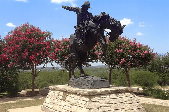 Bronze statue of a cowboy on a rearing horse, surrounded by blooming pink trees. The sculpture captures the spirit of rodeo culture.